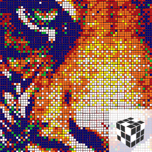 Rubik S Cube Art Tiger Portraits Stuff